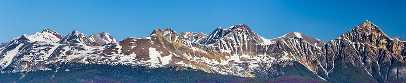 Mountain peaks of the Canadian Rockies by Rietje Bulthuis