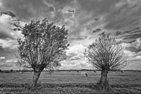 Waterland 05