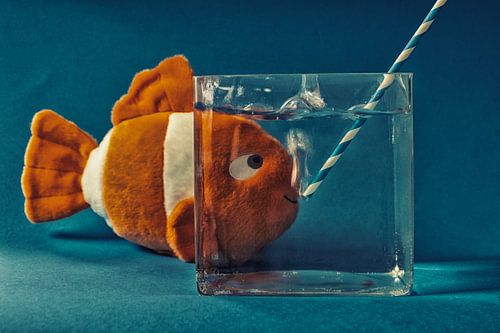 Fisch mit Fischglas und Blasen