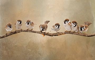 Birds On Branch Artwork With Eight Sparrows by Diana van Tankeren