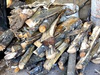Hout
