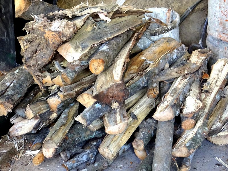 Hout by Joke Schippers