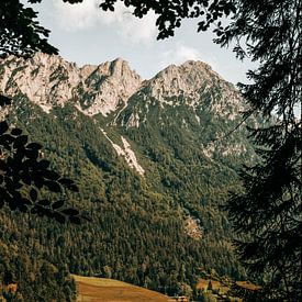 Montagnes, eau et forêts sur Romény Evers