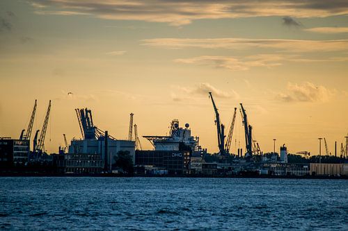 Skyline uitzicht over het industriegebied van Rotterdam