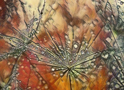 arty drops on dandelion. by Els Fonteine