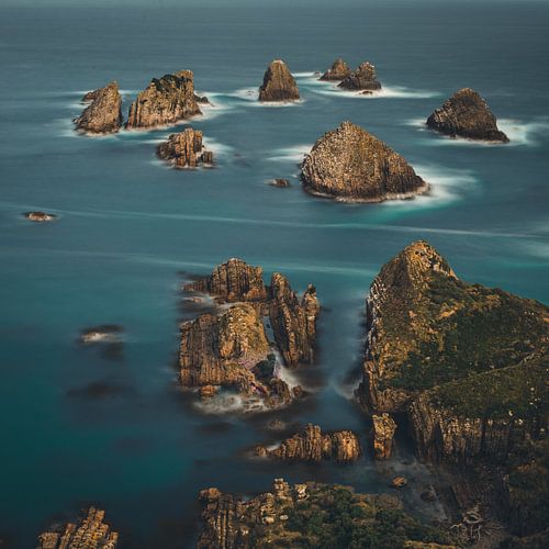 Nuggets - New Zealand