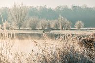 Brouillard bas au-dessus de l'eau avec du givre. par Kay Wils Aperçu