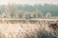 Low-hanging fog over the water with frost