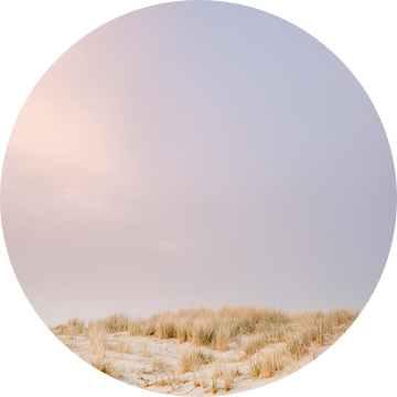De duinen van Ameland | Kleurrijke pastel strand fotografie van Raisa Zwart Reisfotografie Prints