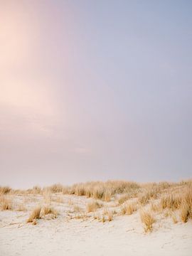 Les dunes d'Ameland | Photographie de plage pastel et colorée
