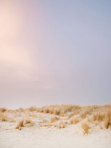 The dunes of Ameland | Colourful pastel beach photography