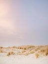 De duinen van Ameland | Kleurrijke pastel strand fotografie van Raisa Zwart thumbnail