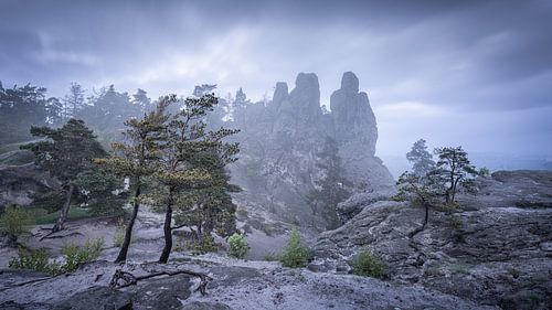 Hamburg coat of arms in the Harz Mountains