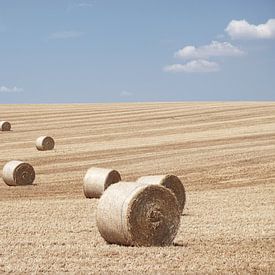 Französisches Feld mit Heuballen (Frankreich) von Tjitte Jan Hogeterp