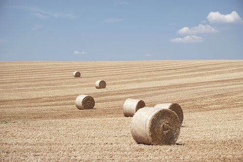 French field with hay bales (France) by Tjitte Jan Hogeterp