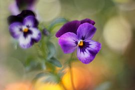 Dancing in the wind... van LHJB Photography