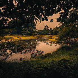 Imperial Palace East National Gardens by Jonas Röjestål