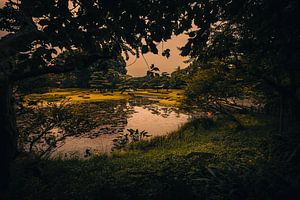 Imperial Palace East National Gardens