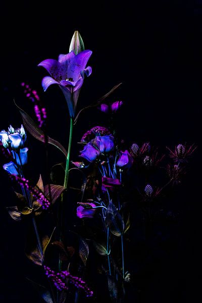 bouquet dans la nuit par Christop.nl