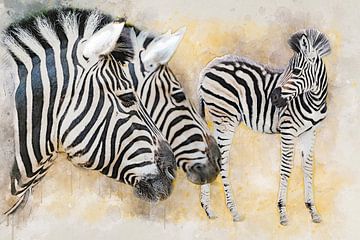 Zebra's von Bert Quaedvlieg