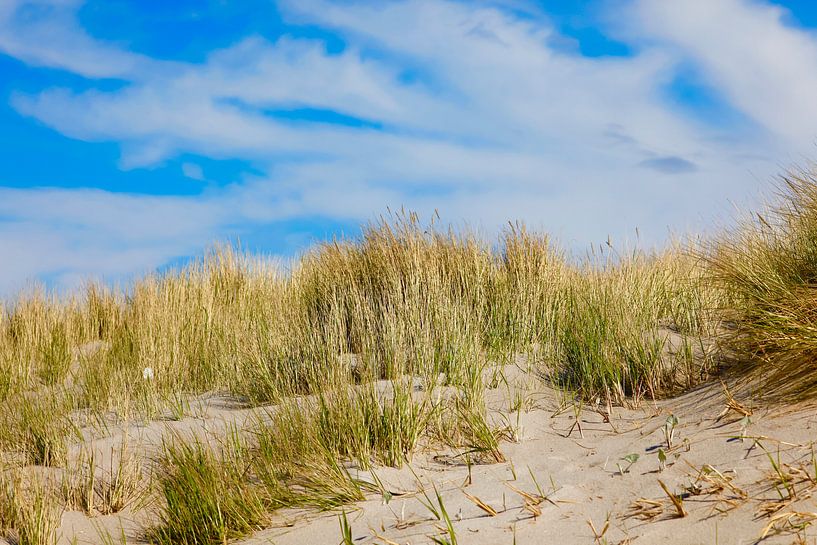 Baltic Sea beach by Thomas Jäger