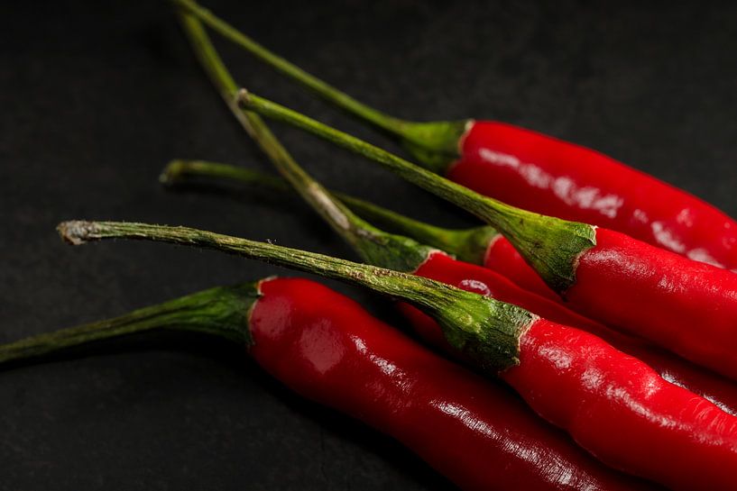 Bündel rote Paprika von Mister Moret