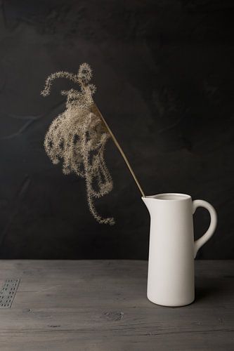 Donker stilleven met siergras pluim in witte kruik