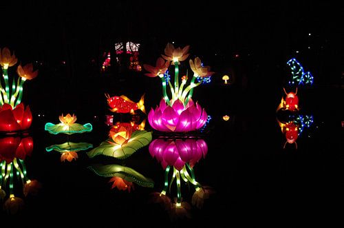 Lotus light