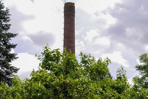 Utrecht - Oude Hortus Schoorsteen met hoge ruis