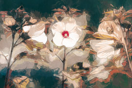 Les trois côtés d'une fleur sur Studio Mirabelle