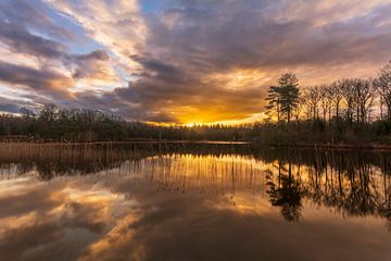 Zonsopkomst bij de Zwarte Dennen van Dennie Jolink