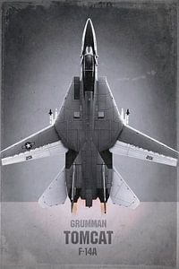Avion de chasse - Grumman F-14A Tomcat, stefan witte sur Stefan Witte