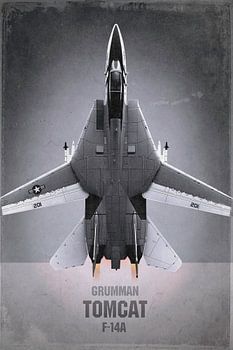 Düsenjäger - Grumman F-14A Tomcat, stefan witte