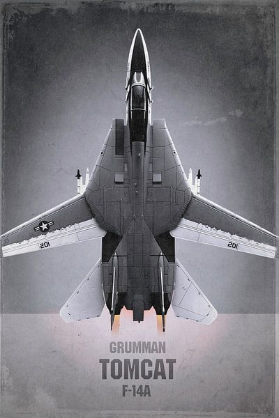 Straaljager - Grumman F-14A Tomcat van Stefan Witte