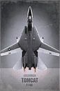Straaljager - Grumman F-14A Tomcat, stefan witte van Stefan Witte thumbnail