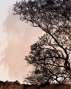 Nordischer Herbst Wald