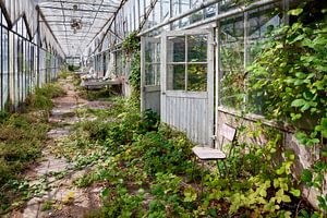 leerer Stuhl im leeren Gewächshaus