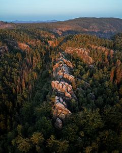 Felsen im Nationalpark Sächsische Schweiz in Deutschland