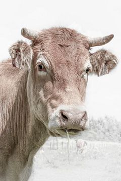 Koe portret met gras. van Alie Ekkelenkamp