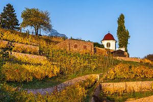 Pavillon am Weinberg im Herbst