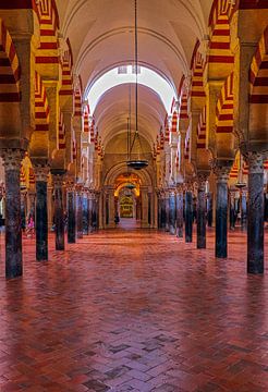 Mezquita in Cordoba van Leo van Beugen