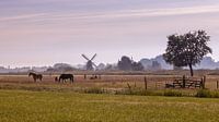 Nebliger Morgen in Noorddijk Groningen von Marga Vroom Miniaturansicht