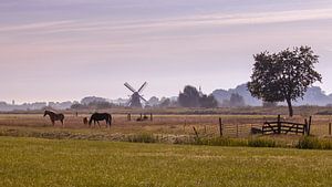 Nebliger Morgen in Noorddijk Groningen