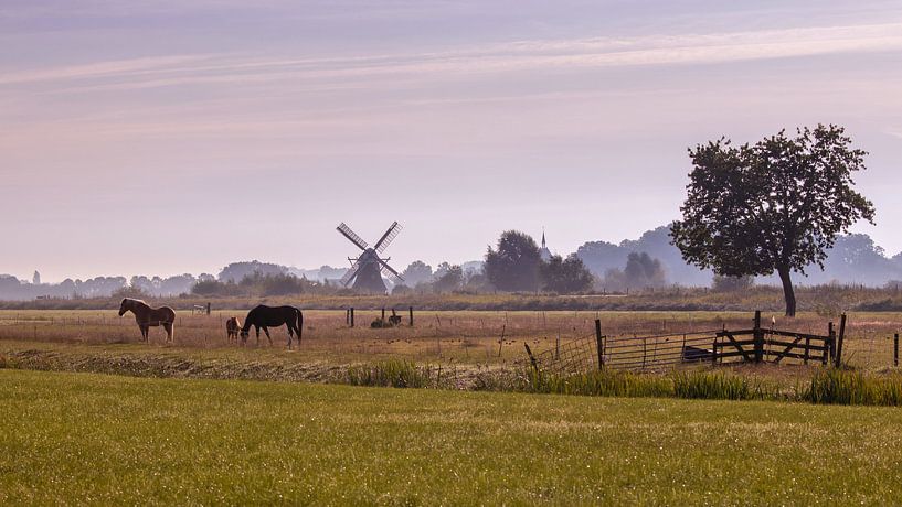 Nebliger Morgen in Noorddijk Groningen von Marga Vroom
