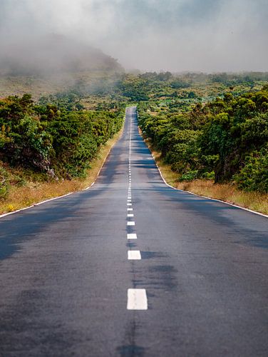 road trip