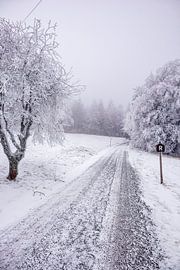 Kleine Winterwanderung im verschneiten Thüringer Wald bei Floh-Seligenthal - Thüringen - Deutschland von Oliver Hlavaty