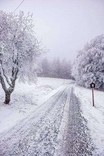 Korte winterwandeling in het besneeuwde Thüringer Woud bij Floh-Seligenthal - Thüringen - Duitsland