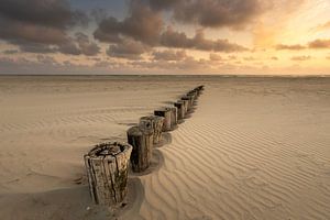 Riffeln im Sand bei Hollum - Holzpfähle am Strand von Ameland