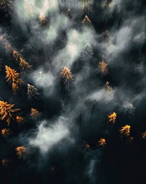 Mystiek herfstbos van bovenaf van fernlichtsicht