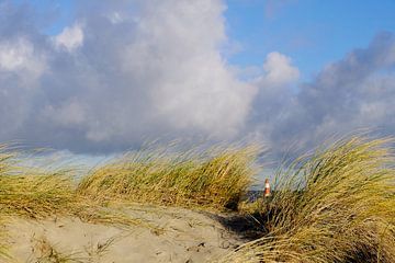 Verscholen achter de duinen van Ostsee Bilder
